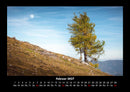 Bäume Fotokalender 2027 - 2