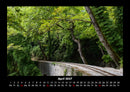 Bäume Fotokalender 2027 - 4