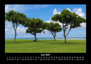 Bäume Fotokalender 2027 - 6