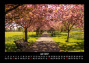 Bäume Fotokalender 2027 - 7
