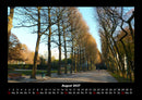 Bäume Fotokalender 2027 - 8