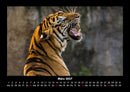 Welt der Tiere Fotokalender 2027 - 3