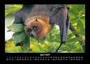 Welt der Tiere Fotokalender 2027 - 4