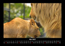 Welt der Tiere Fotokalender 2027 - 5