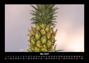 Obstkalender Fotokalender 2027 - 5