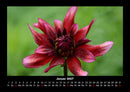 Unser Heimatplanet Fotokalender 2027 - 1