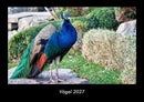 Vögel Fotokalender 2027 - Hauptbild
