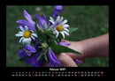 Blumenträume Fotokalender 2027 - 2