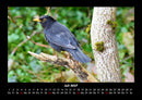 Bilder aus der Natur Fotokalender 2027 - 7