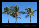 Palmentraum Fotokalender 2027 - 11