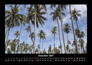 Palmentraum Fotokalender 2027 - 12