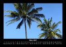 Palmentraum Fotokalender 2027 - 3