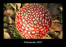 Pilzkalender Fotokalender 2027 - Hauptbild