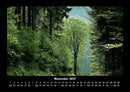Waldzauber Fotokalender 2027 - 11