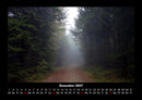 Waldzauber Fotokalender 2027 - 12
