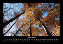 Waldzauber Fotokalender 2027 - 1