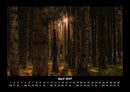 Waldzauber Fotokalender 2027 - 4