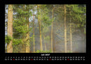 Waldzauber Fotokalender 2027 - 7