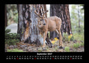 Waldbewohner Fotokalender 2027 - 9