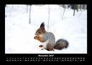 Waldbewohner Fotokalender 2027 - 11