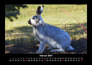Waldbewohner Fotokalender 2027 - 2