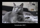 Tierkalender Fotokalender 2027 - Hauptbild