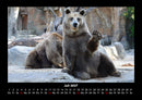 Tierkalender Fotokalender 2027 - 7