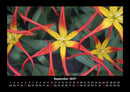 Blumenträume Fotokalender 2027 - 9