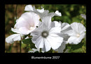 Blumenträume Fotokalender 2027 - Hauptbild