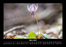 Blumenträume Fotokalender 2027 - 3