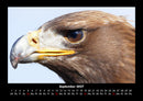 Vogelparadies Fotokalender 2027 - 9