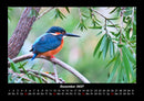 Vogelparadies Fotokalender 2027 - 12