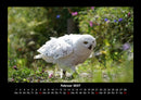Vogelparadies Fotokalender 2027 - 2