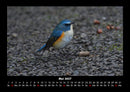 Vogelparadies Fotokalender 2027 - 5