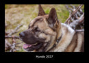 Hunde Fotokalender 2027 - Hauptbild