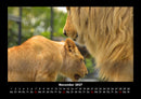 Welt der Tiere Fotokalender 2027 - 11