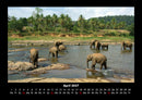 Welt der Tiere Fotokalender 2027 - 4