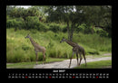 Welt der Tiere Fotokalender 2027 - 6