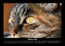 Tiere auf dem Bauernhof Fotokalender 2027 - 10