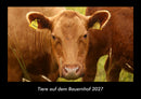Tiere auf dem Bauernhof Fotokalender 2027 - Hauptbild