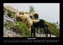 Tiere auf dem Bauernhof Fotokalender 2027 - 1