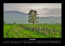 Blick in die Natur Fotokalender 2027 - 7