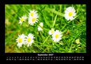 Pflanzen und Blüten Fotokalender 2027 - 9