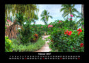 Pflanzen und Blüten Fotokalender 2027 - 2