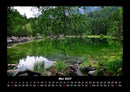 Pflanzen und Blüten Fotokalender 2027 - 5