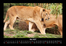 Tierkalender Fotokalender 2027 - 5