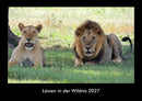 Löwen in der Wildnis Fotokalender 2027 - Hauptbild