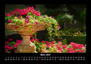 Blumenträume Fotokalender 2027 - 3