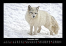 Waldbewohner Fotokalender 2027 - 12