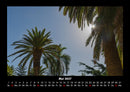 Palmentraum Fotokalender 2027 - 5